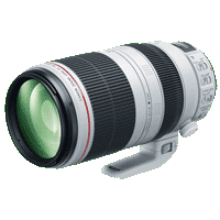 Canon EF 100-400mm f/4.5-5.6L IS II USM - 2 Year Warranty - Next Day Delivery